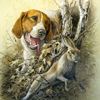 Логотип @muzskoyray - Охота * Рыбалка * Мужская Сталь