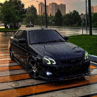 Логотип @muzzled7 - MUZZLED