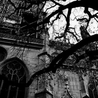 Логотип @mwznmw - music