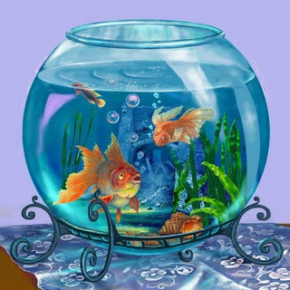 Логотип @my_aquarium_klas - 🪸Аквариумистика🐠