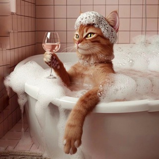 Логотип @my_cat_house - Кошкин дом