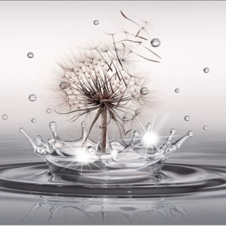 Логотип @my_channel4u - my_channel4U