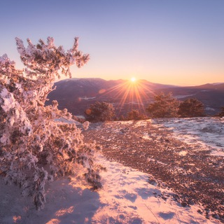 Логотип @my_crimea_online - • Крым • Отдых и путешествия