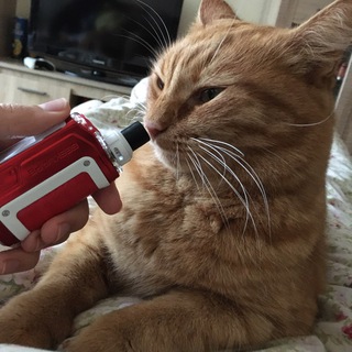 Логотип @my_ebem_kotov - Унылое подземелье