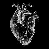 Голос сердца