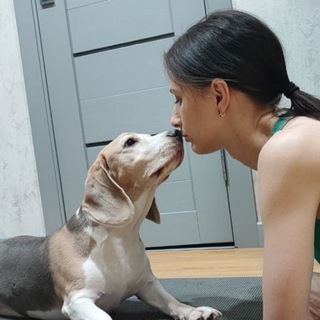 Логотип @my_kinilog - Сам себе кинолог