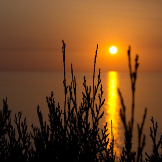 Логотип @my_love_sea - ЖИТЬ У МОРЯ 🌊