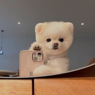 Логотип @my_mood_oo07 - ᗰY ᗰOOᗪ ج 𝑪𝑯𝑨𝑻🧡