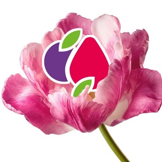 Логотип @my_prs - Мой ПРС💜