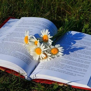 Логотип @my_reading_blog - Читаем с Хонни🌷