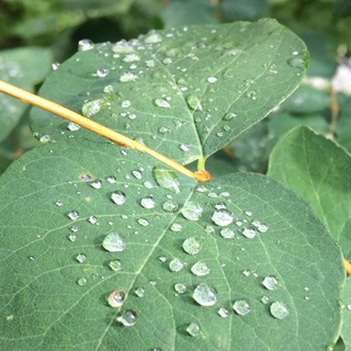 Логотип @my_uslygi - Телеграмм фотосток