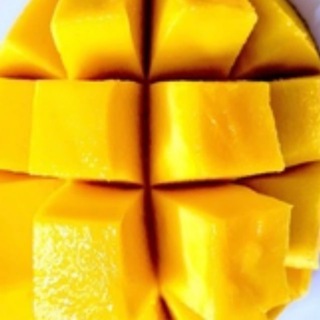 Логотип @myakotk0 - Сама м'якотка