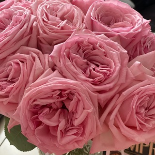 Логотип @myassistance - Помощь для U4U/HP беженцев