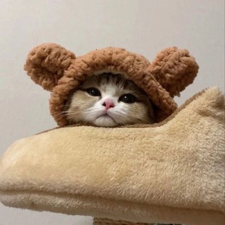 Логотип @myavkieverytime - мявки на каждый день