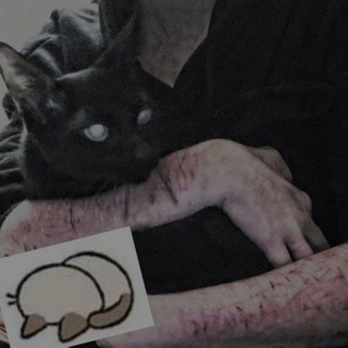 Логотип @myawoo111 - myavo */3