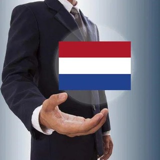 Логотип @mybusinessvnl - ⚡️🇳🇱🎯 Мой бизнес в Нидерландах