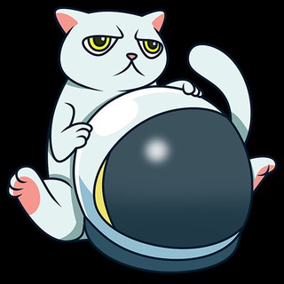 Логотип @mycattoken - CAT Token