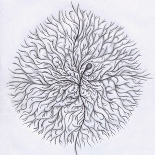 Логотип @myceliumextraordinaire - Mycelium Extraordinaire