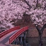 Логотип @mycollectionon - My collection