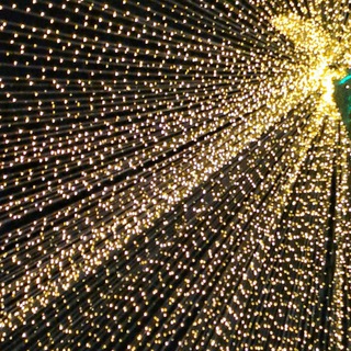 Логотип @mydiamond_g - ᴅɪᴀᴍᴏɴᴅ