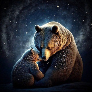 Логотип @mydrmedved - 🪷Мудрый Медведь🐻