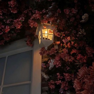 Логотип @mydushaaal - allove