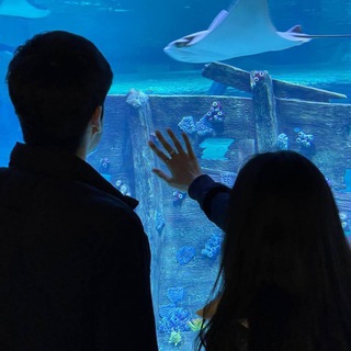 Логотип @myelmusic - Счастье 🦋