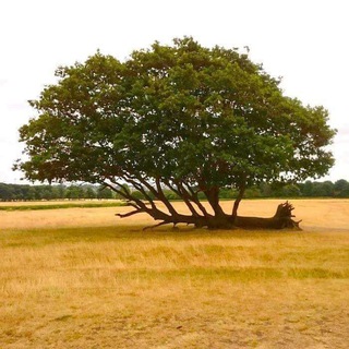 Логотип @myengineers - 🇲🇾 Engineers Malaysia