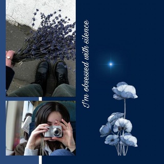 Логотип @myfascination - ⋆ 𝅄۫ Уюⲧныū ყгꭷꪒꭷƙ 🪻 ֢ 𔓕‌