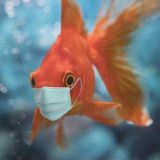 Логотип @myhobbyaqua - 🦎Аквариум мое хобби🐠