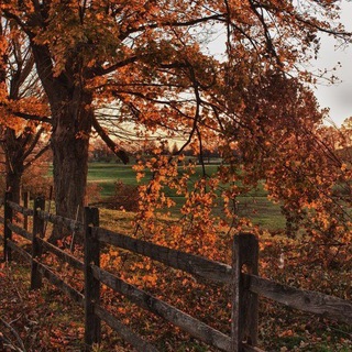 Логотип @myhome_lovee - My home /chat💚