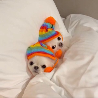 Логотип @myilynemi - Мы?