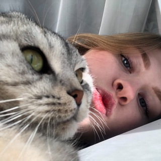 Логотип @mykittiki - ksen