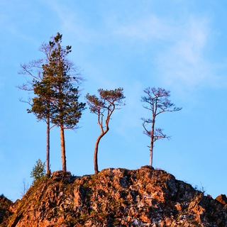 Логотип @mylandscapes - Реки, скалы и леса