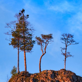 Логотип @mylandscapes_chat - Реки, скалы и леса. Чат