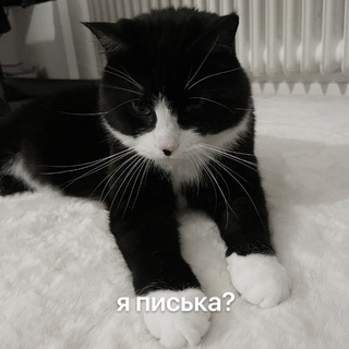 Логотип @mylittlehydrokitty - майлитлгидрапони