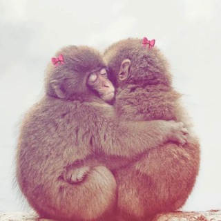 Логотип @mylooooveeeer - парные авы