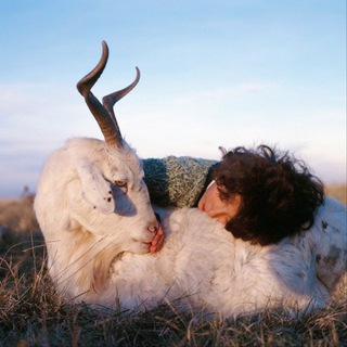 Логотип @mylovelyimgs - мои любимые картинки 💌