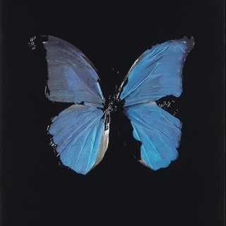 Логотип @mymalley - MYMALLEY