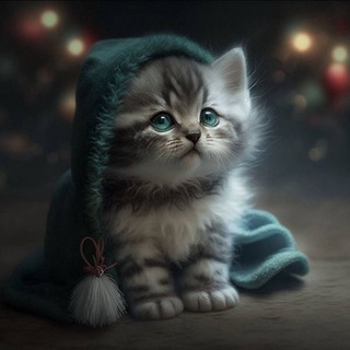 Логотип @mymusulmaan - Ислам религия каждого века