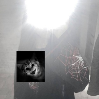 Логотип @mymymiy2023 - кошкадевочка