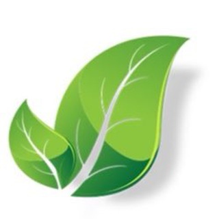 Логотип @mynaturaltreatment - My Natural Treatment