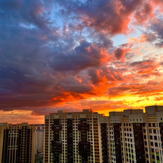 Логотип @mypbnews - ПЕРЕДЕЛКИНО БЛИЖНЕЕ