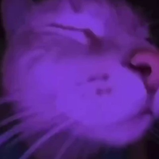 Логотип @mypepefrog - My pepe 💕