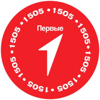 Логотип @mypervie77_school1505 - Движение Первых | 1505