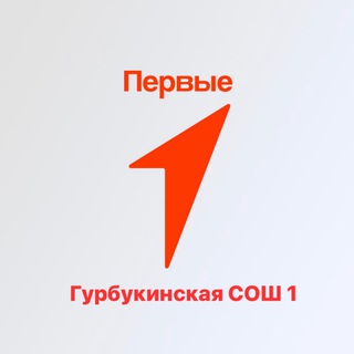 Логотип @myperviegurbsosh1 - Движение Первых| Гурбукинская +СОШ№1