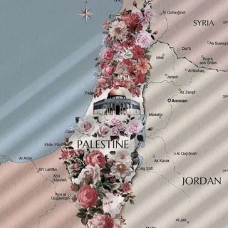 Логотип @myqurantv - MY QURAN