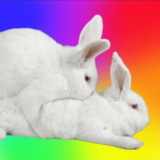 Логотип @myrabbithole - ra🅱️🅱️it hole