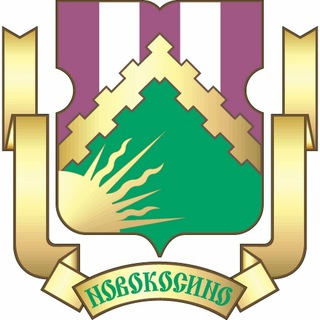 Логотип @myrayonnovokosino - Москва, Новокосино