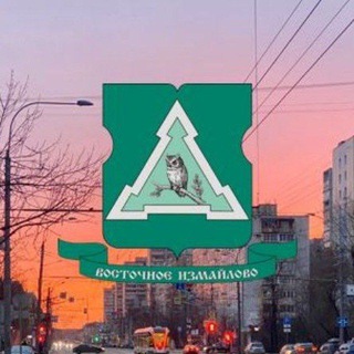 Логотип @myrayonvosizm - Москва, Восточное Измайлово